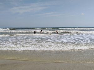 Researching Florida ocean life