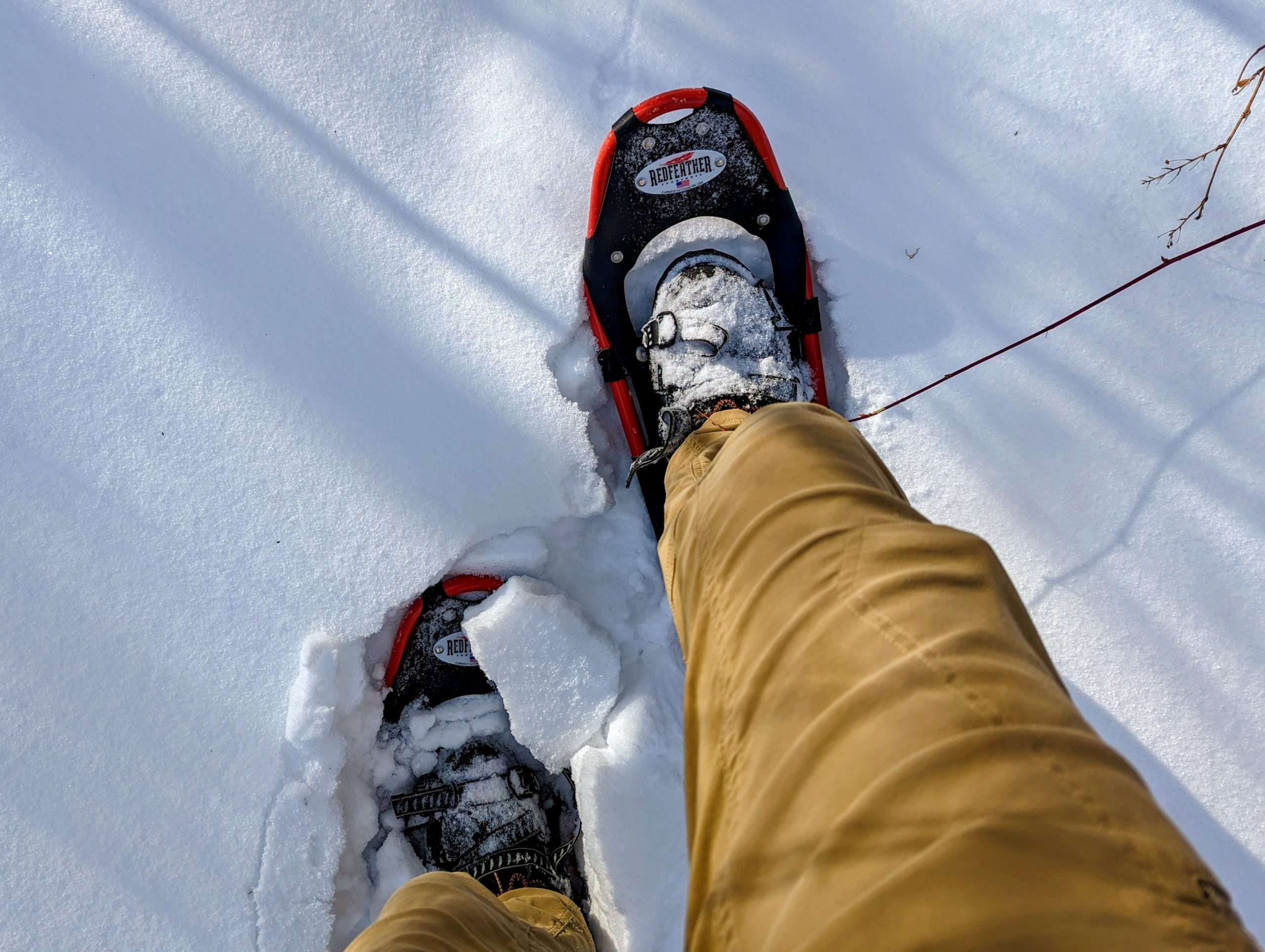 Winter Days