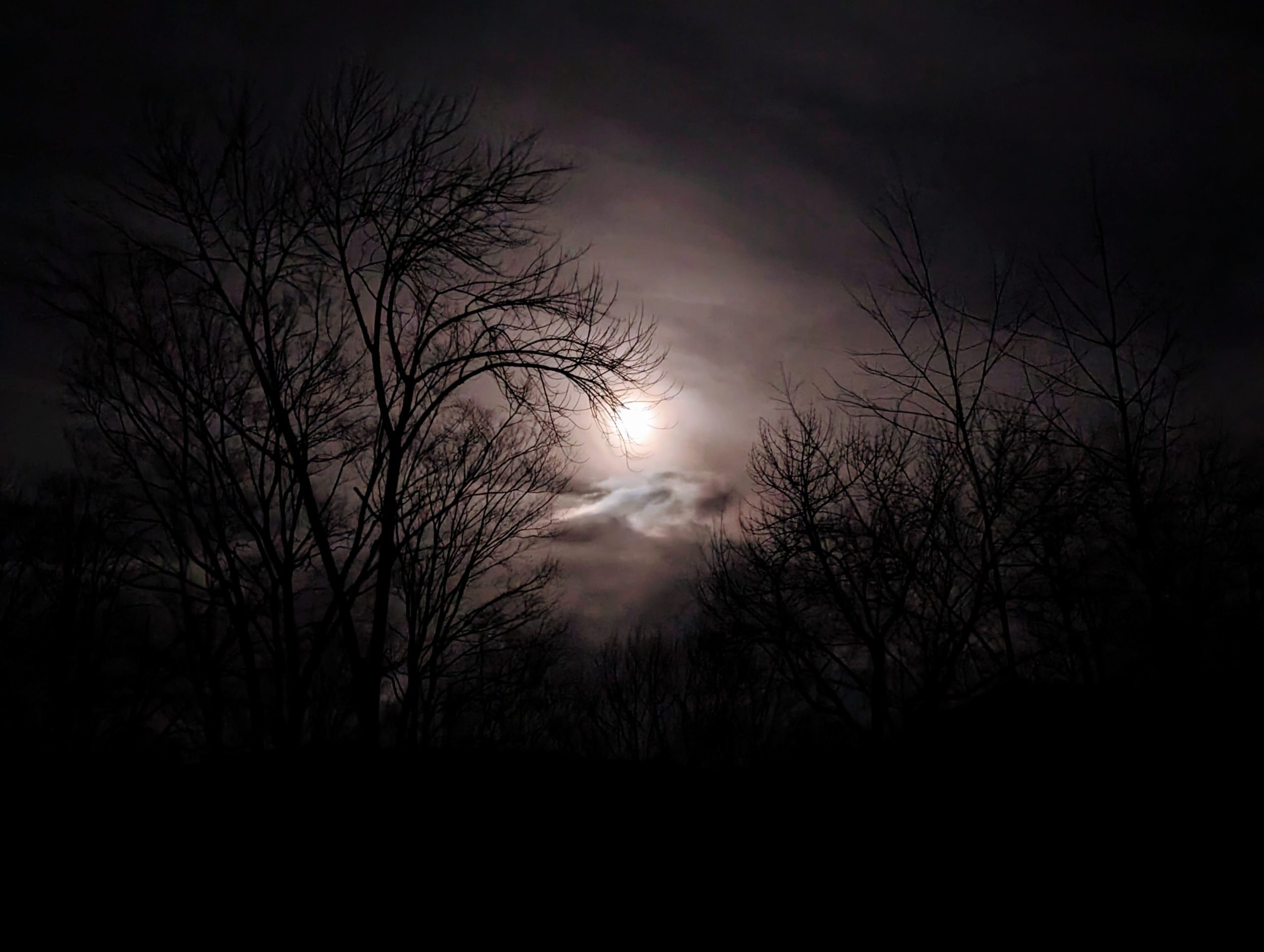 March Moon Madness