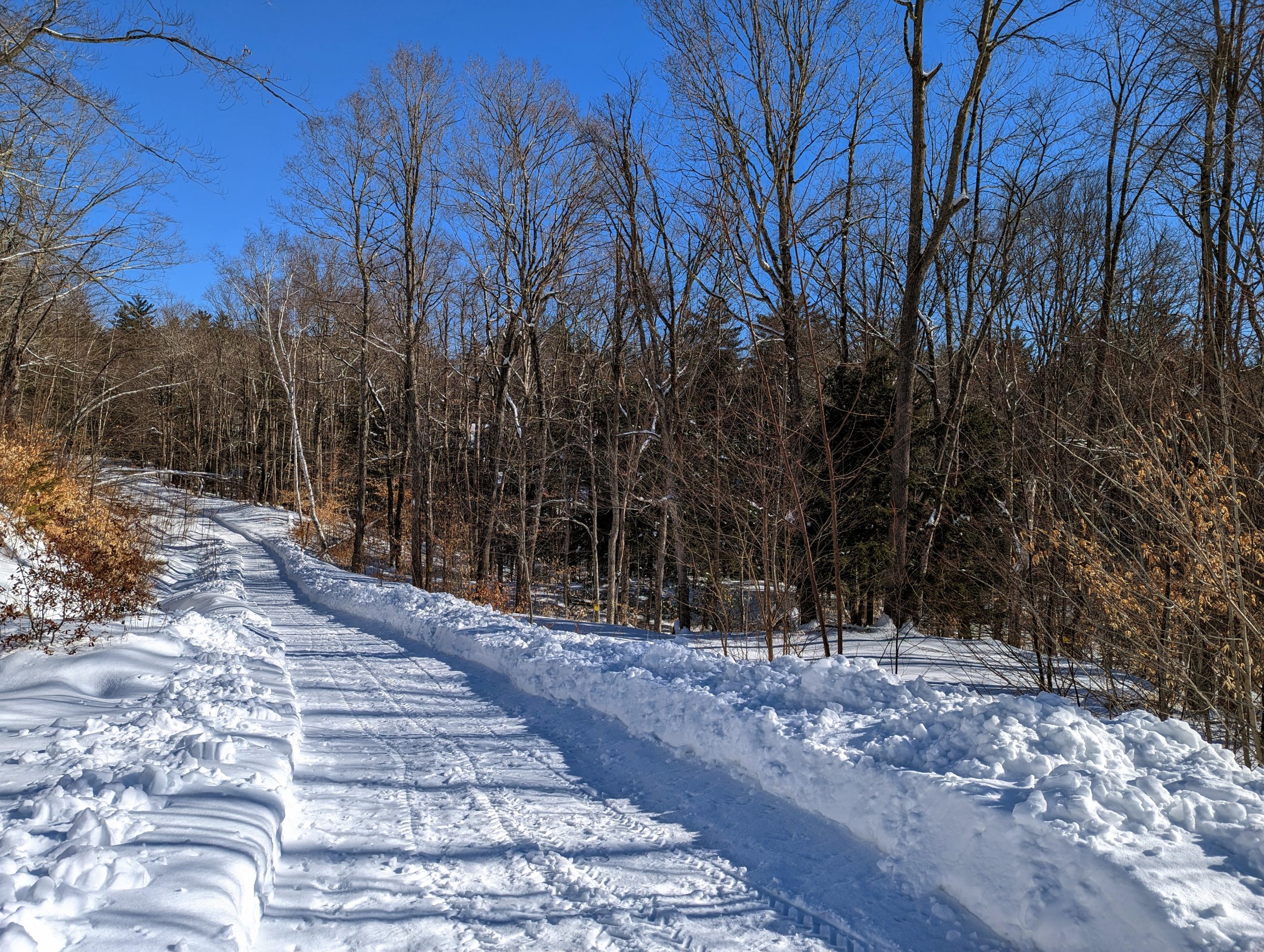 Snow-filled driveway