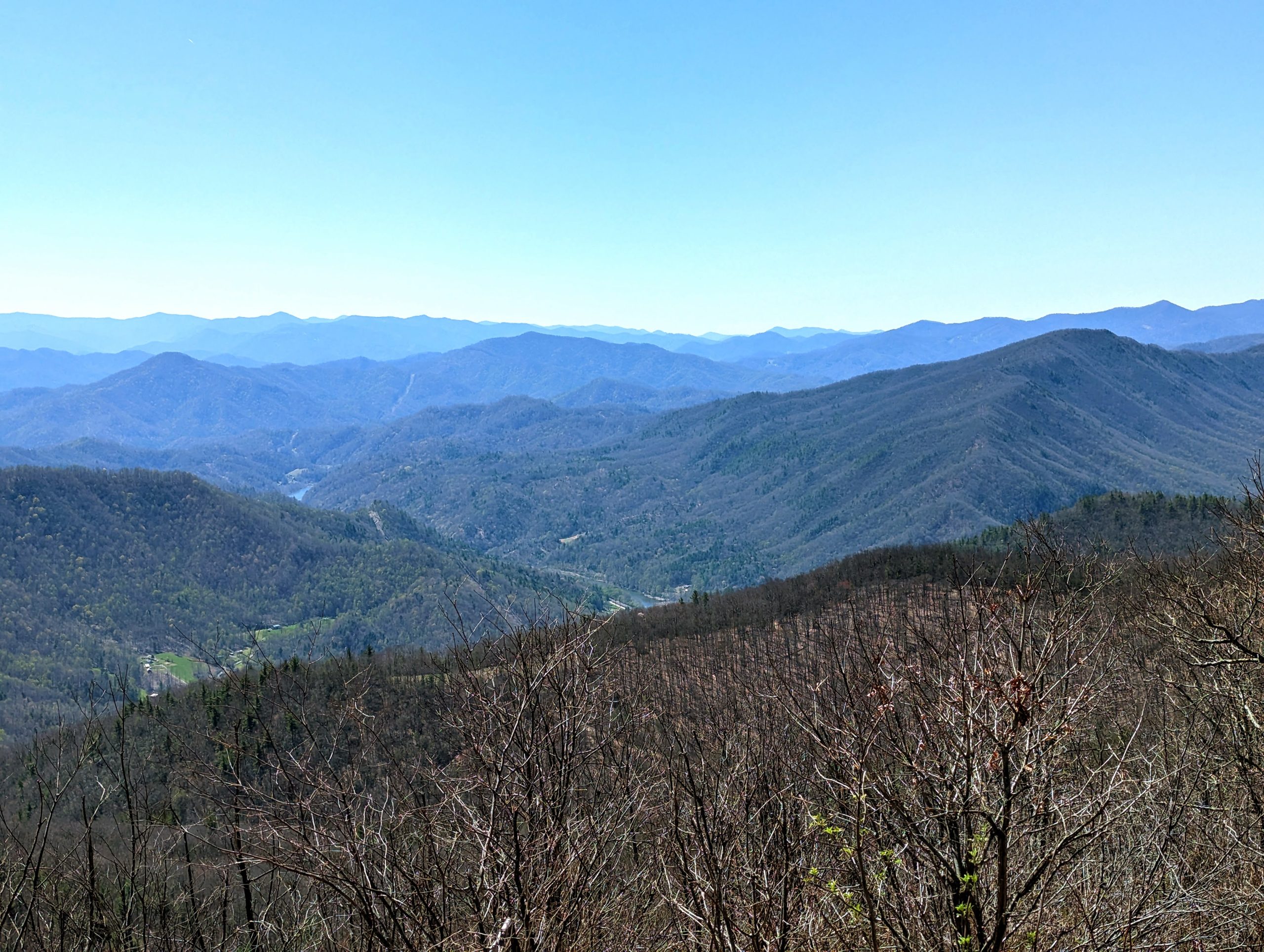 Spring South Part 2: First Spring