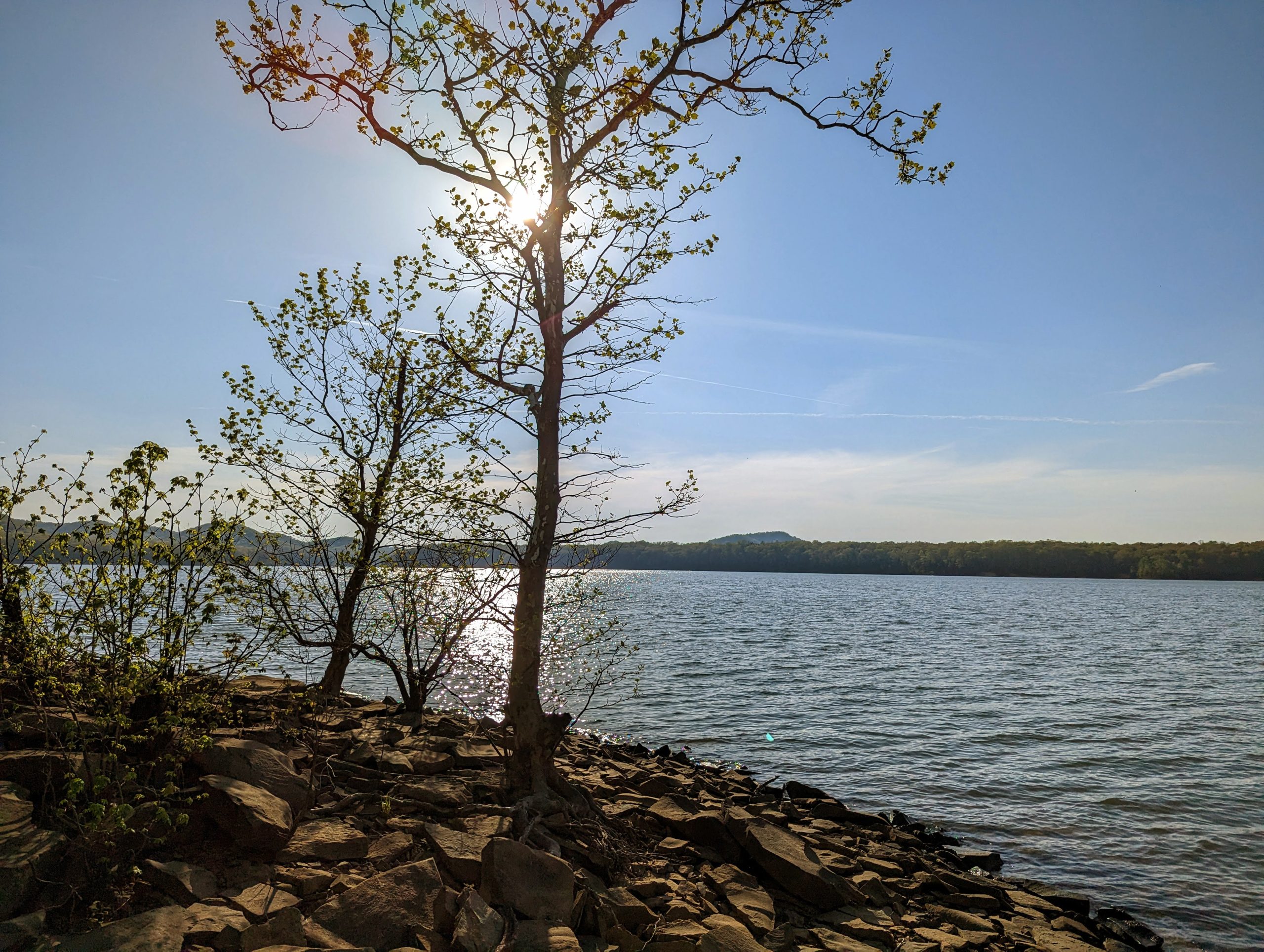 Spring South Part 3: Turning Fifty