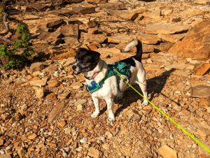 Scully explores the beach