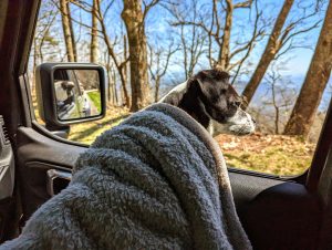 She was COLD and wanted to keep a look out.