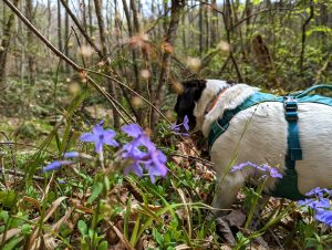 Stop and smell the flowers.