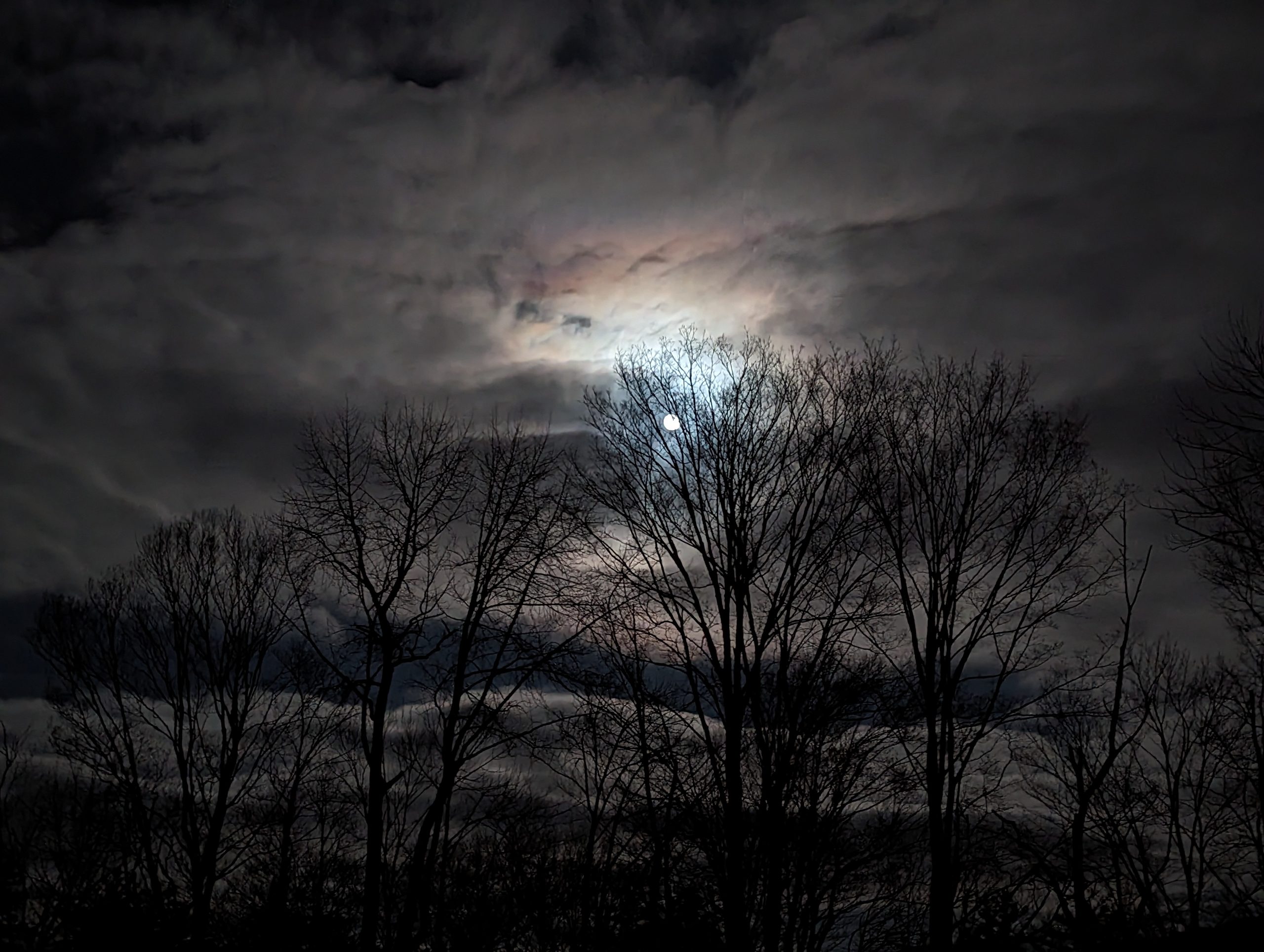 Late November Moon