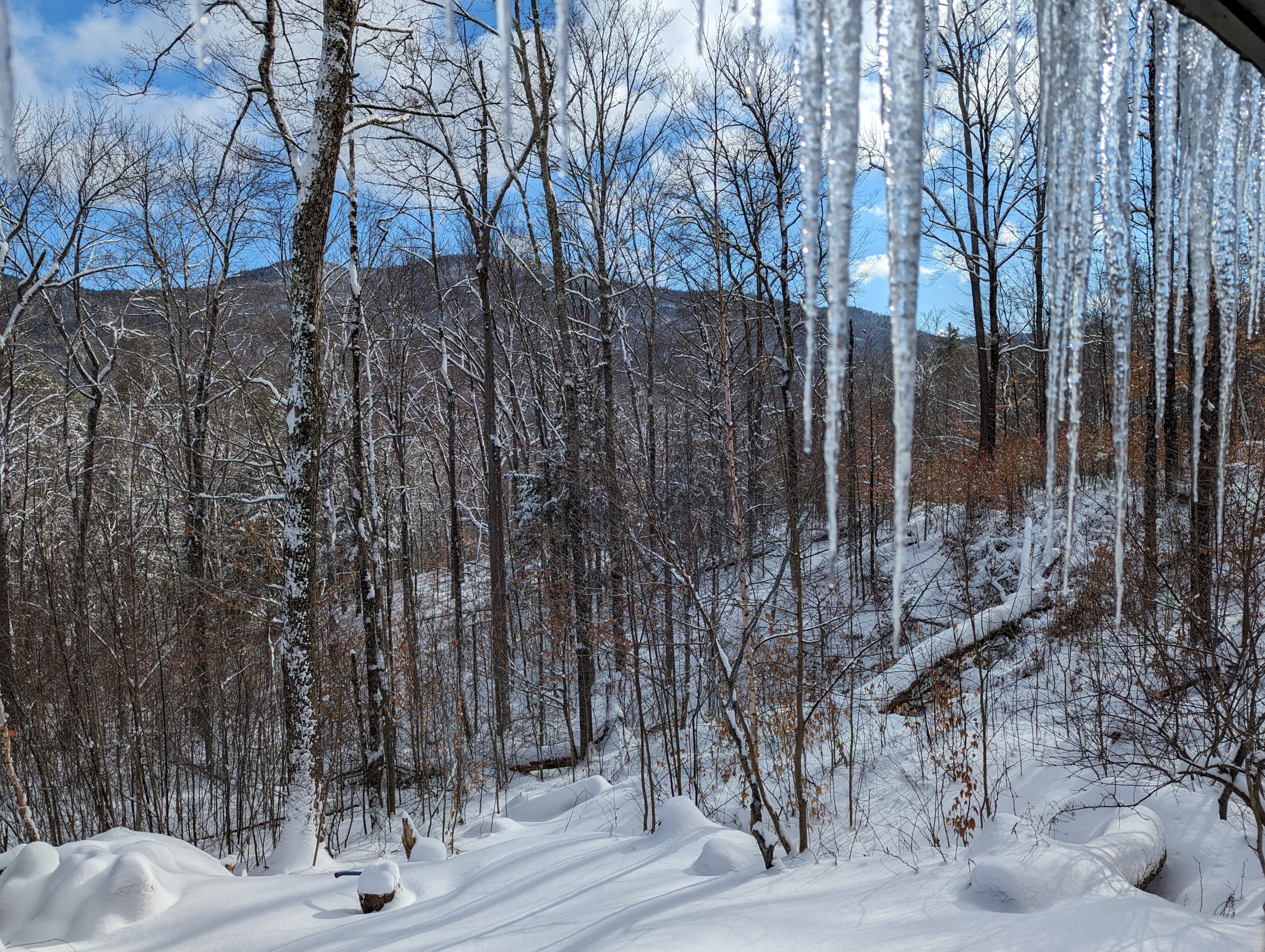 January Snow