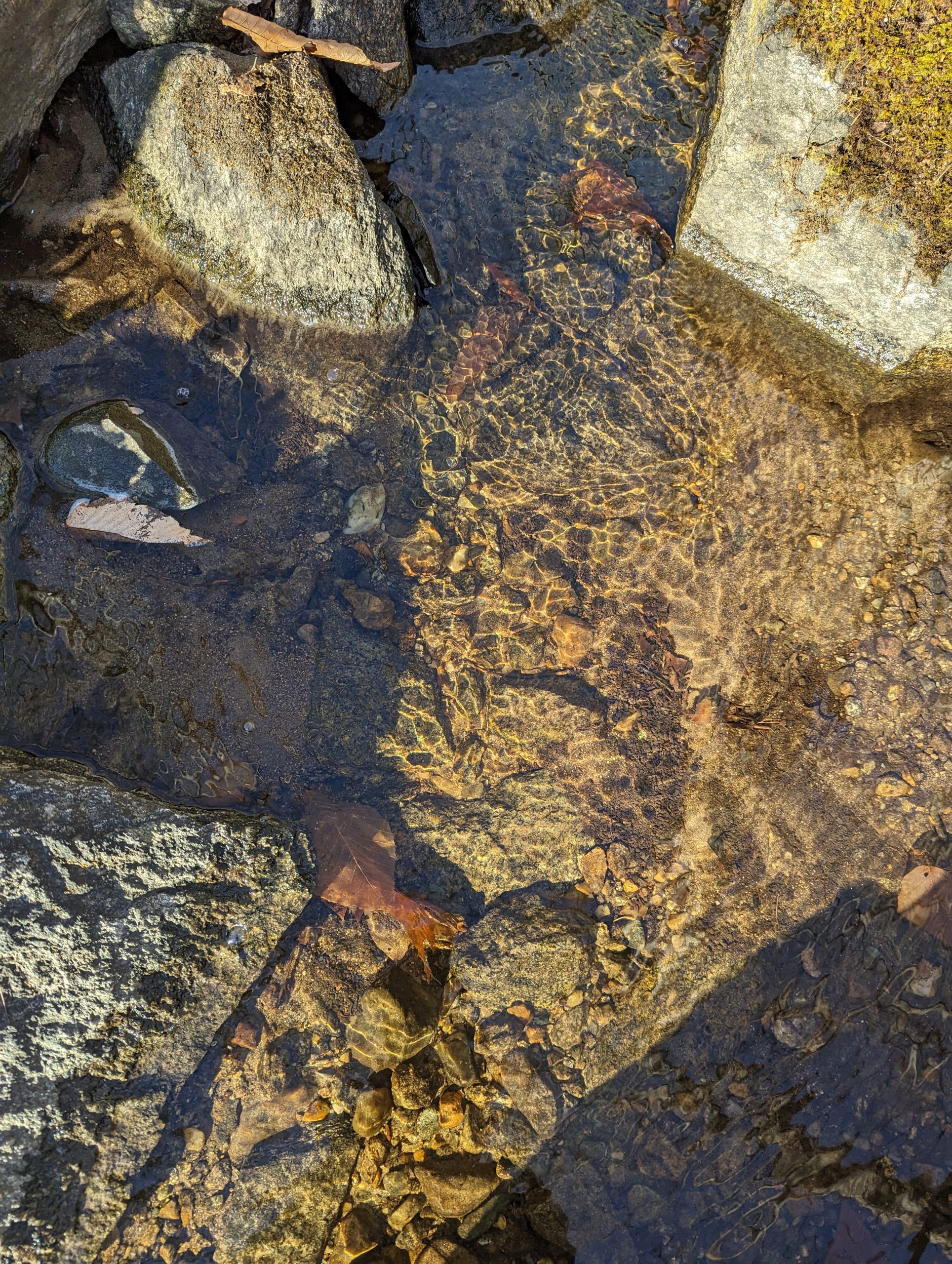 Cabin Creek