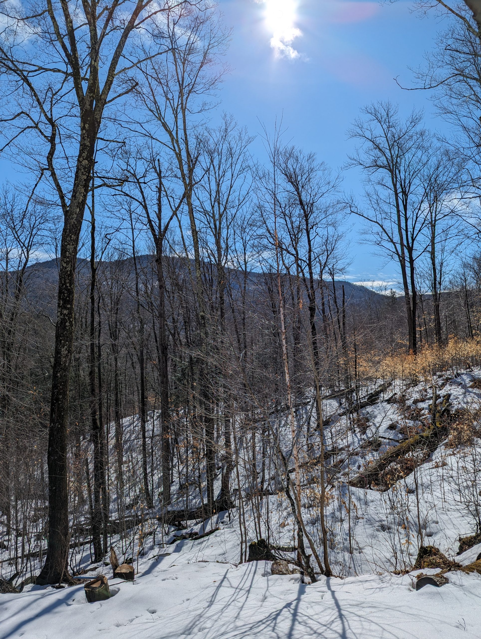 Early March Snow Melt?