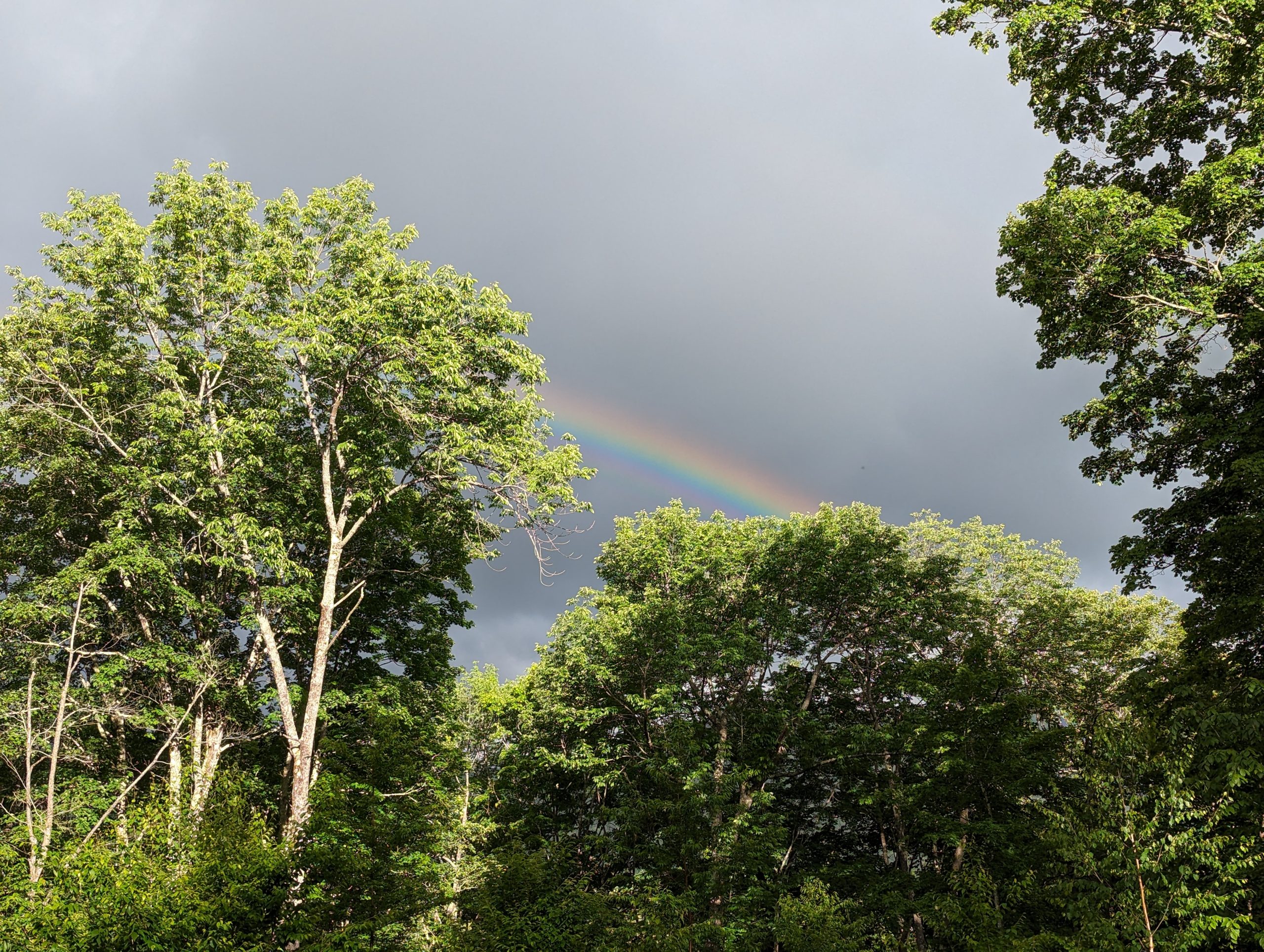 Spring Rainbow